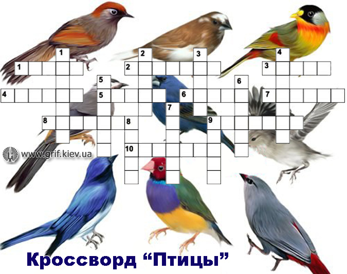 Кроссворд птицы для детей с ответами. Кроссворд о перелетных птицах для детей с ответами. Кроссворд про птиц для детей. Филворд зимующие птицы. Кроссворд птицы для дошкольников.