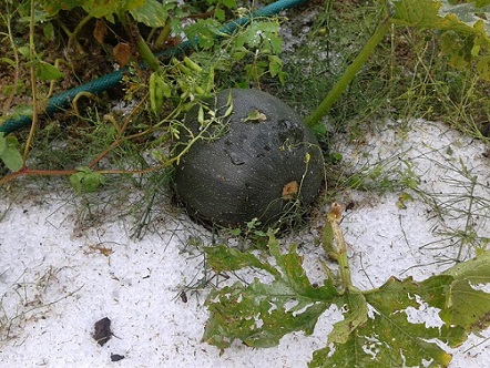 С чудесами повезло!