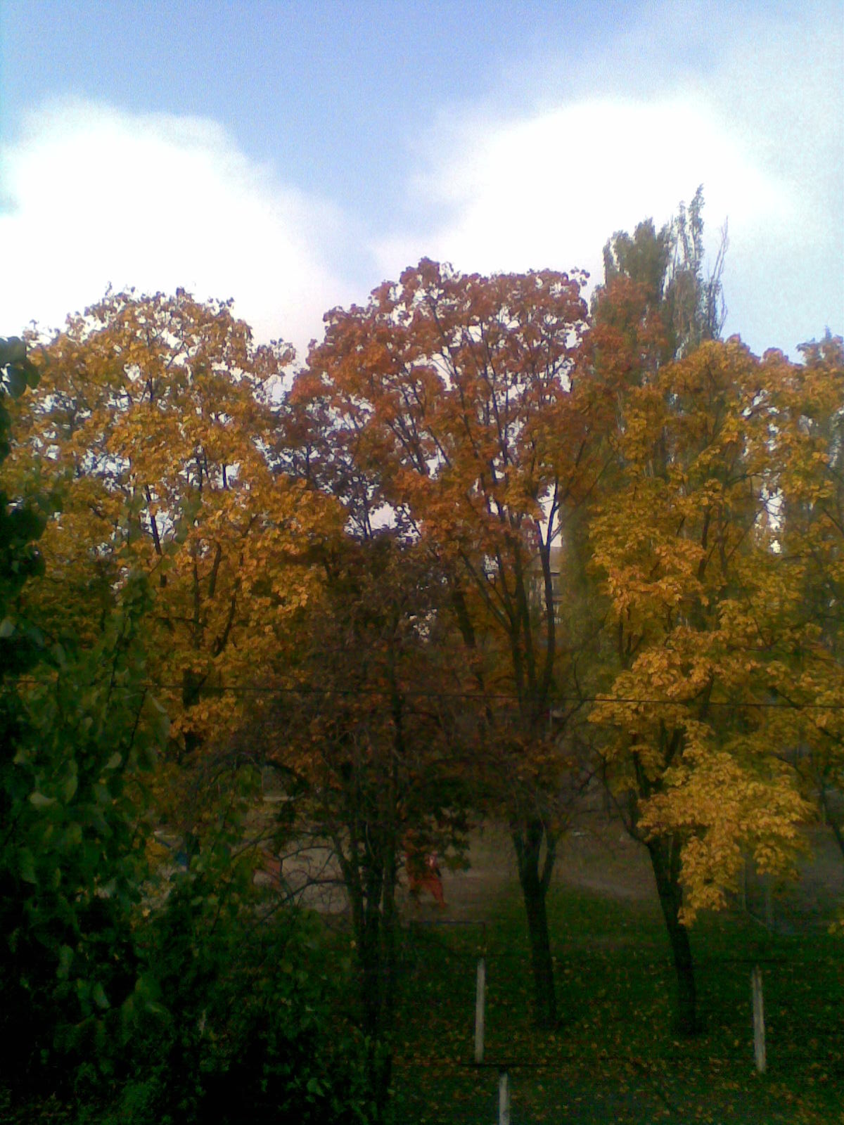 осенний вальс