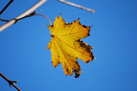 Двадцять два...