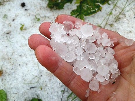 Посмотрите, друзья!