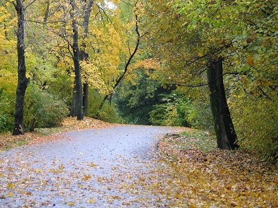 Цветной букварь