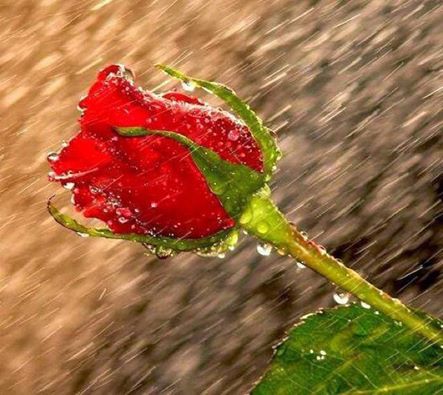 Когда тебе наплевали в душу...