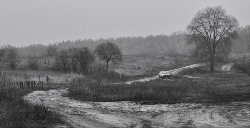 Старый дом, зелёные ворота...