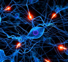 Боль. Взгляд Изнутри...