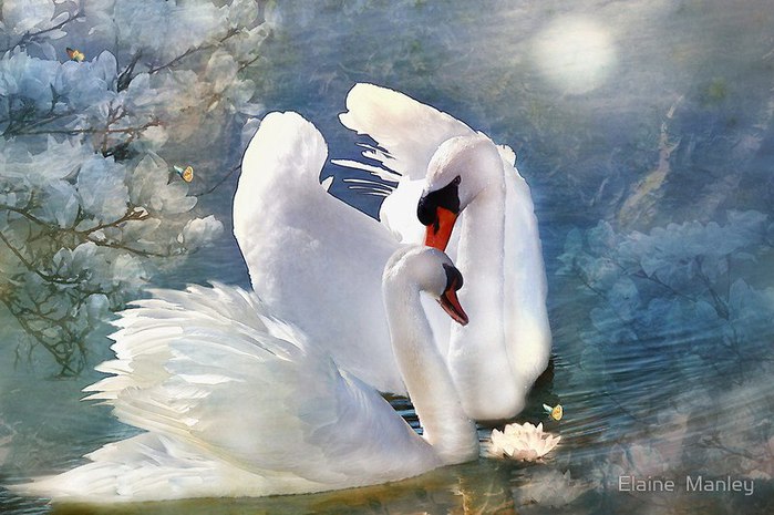 Осенняя любовь