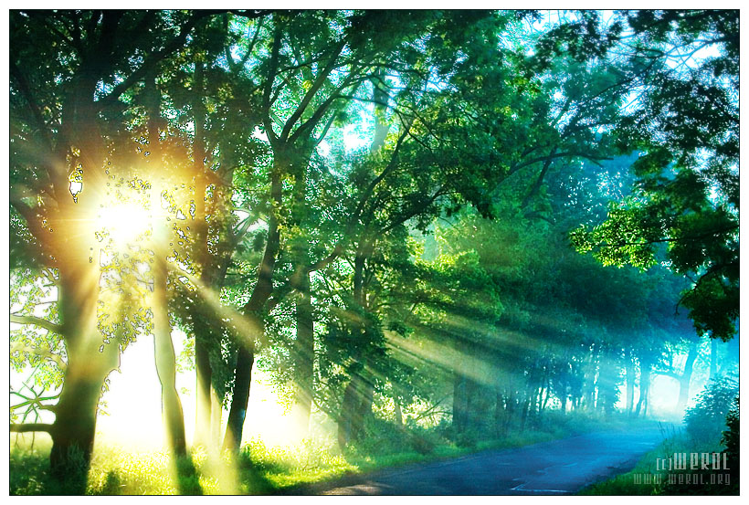 Радость коротка