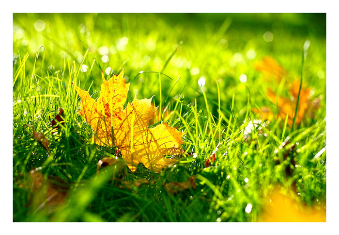 Если ещё когда-нибудь