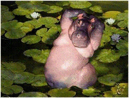 Физзарядка на болоте