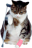 Васькина беда