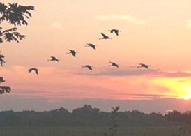 За окном осень