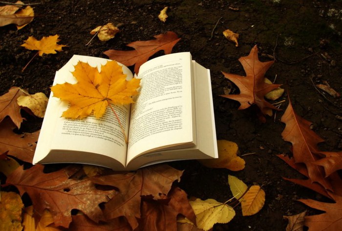 Осенний рай