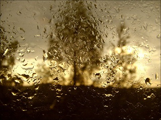 Влюбленный дождь