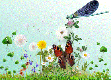 Мимолётности1