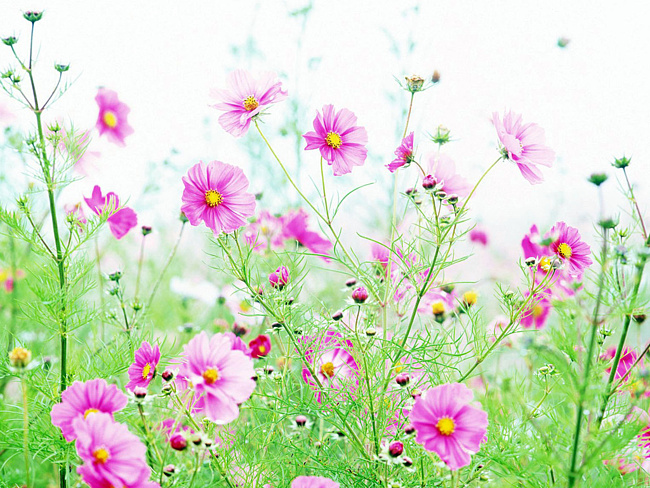 Здесь и сейчас в душе...