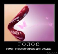 Ты просто помолчи