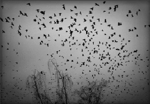 Во всём виновата осень