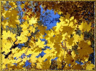 Подарок поэту