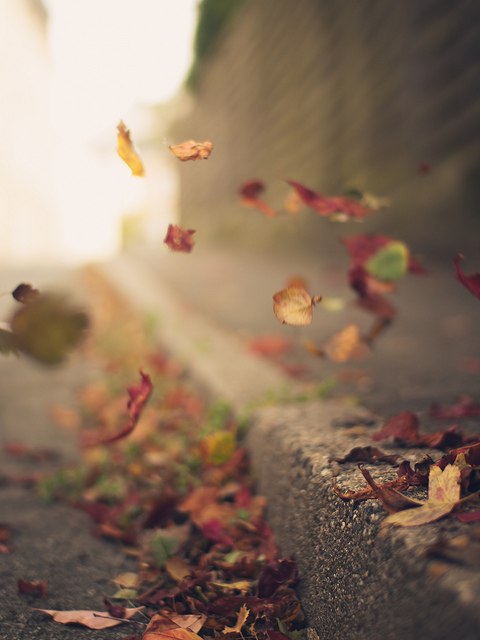 В твоих руках не найдется места...