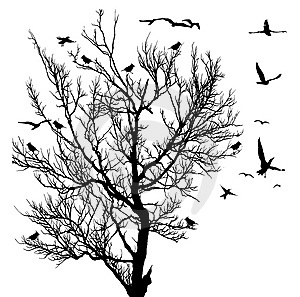 Появяться в лесу дома...