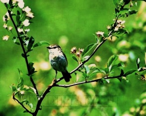 Взгляд на осень