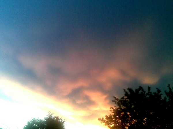 Утро июньское...