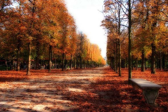 Лето улетело на крыльях стрекозы...