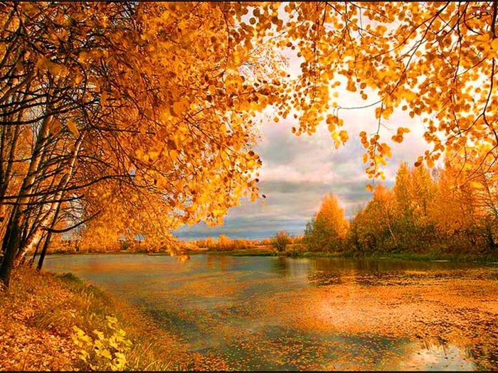 Люблю я осень русскую