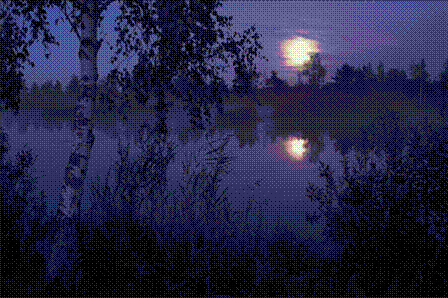 В объятиях иллюзии свободы