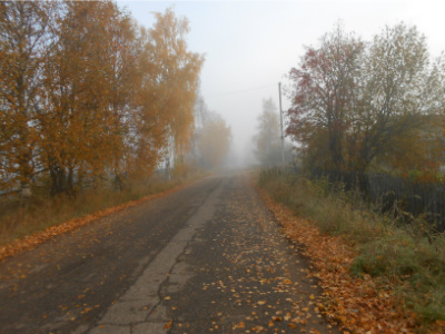 Осенний туман