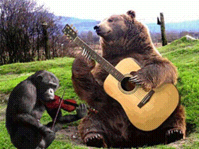 Оптимизм зоомузыкантов