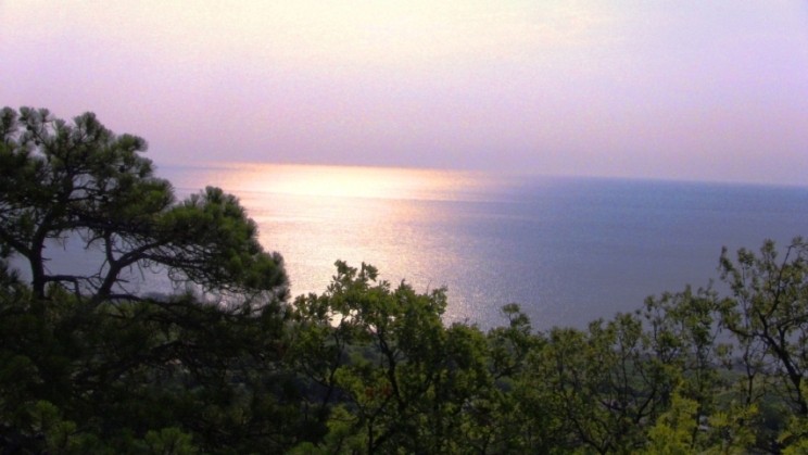 Словно два лебединых крыла