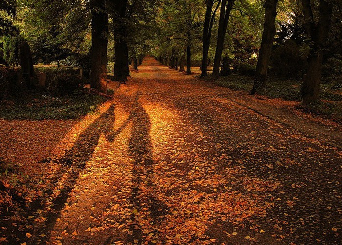 Наши тени еще бродят вместе