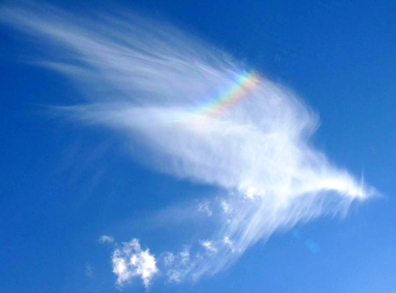 Синяя птица облака. Облако в форме птицы. Птица из облаков. Ангел в небе. Облака похожие на птиц.