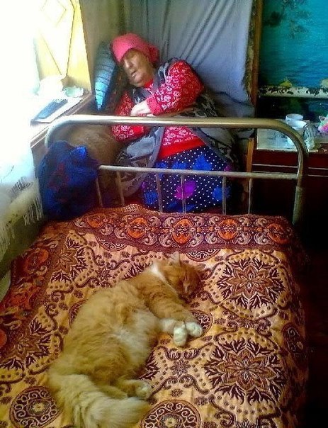 Кто хозяин в доме...