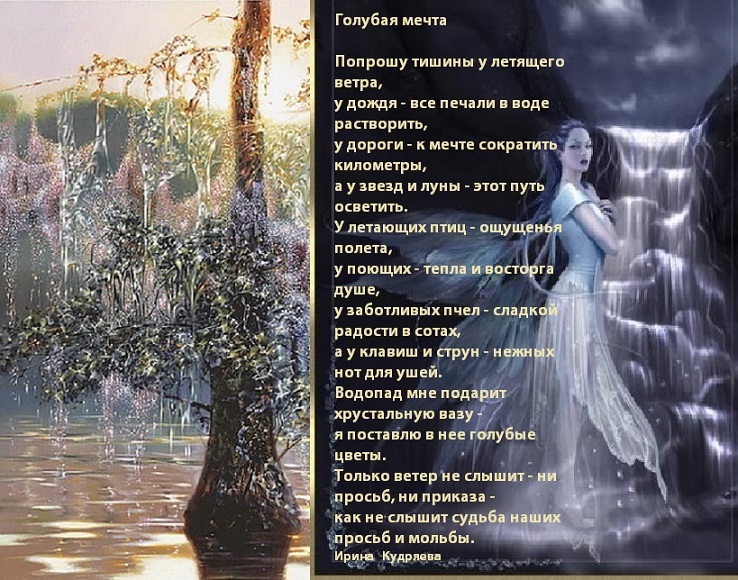 витринах были мечты сбываются стихи красивые короткие будущего президента