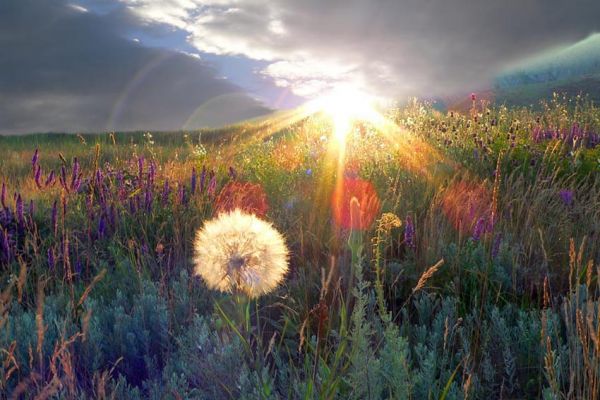 Не страшен...