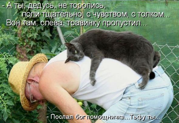 Послал бог помощничка!