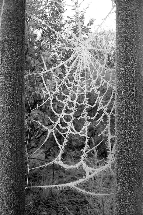 Дождливый февраль