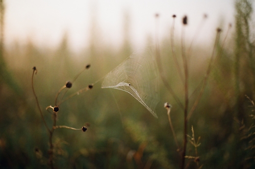 422-й. Город пожелтел