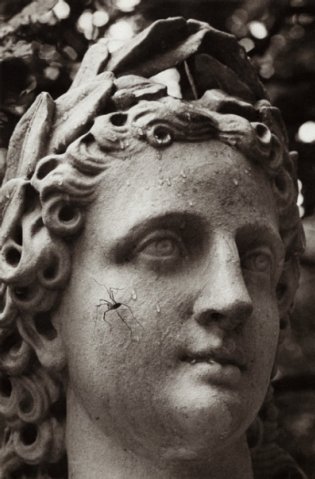 Застыл паук на мраморе столетий...