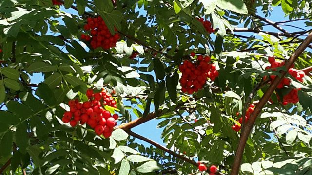 Тайна строк