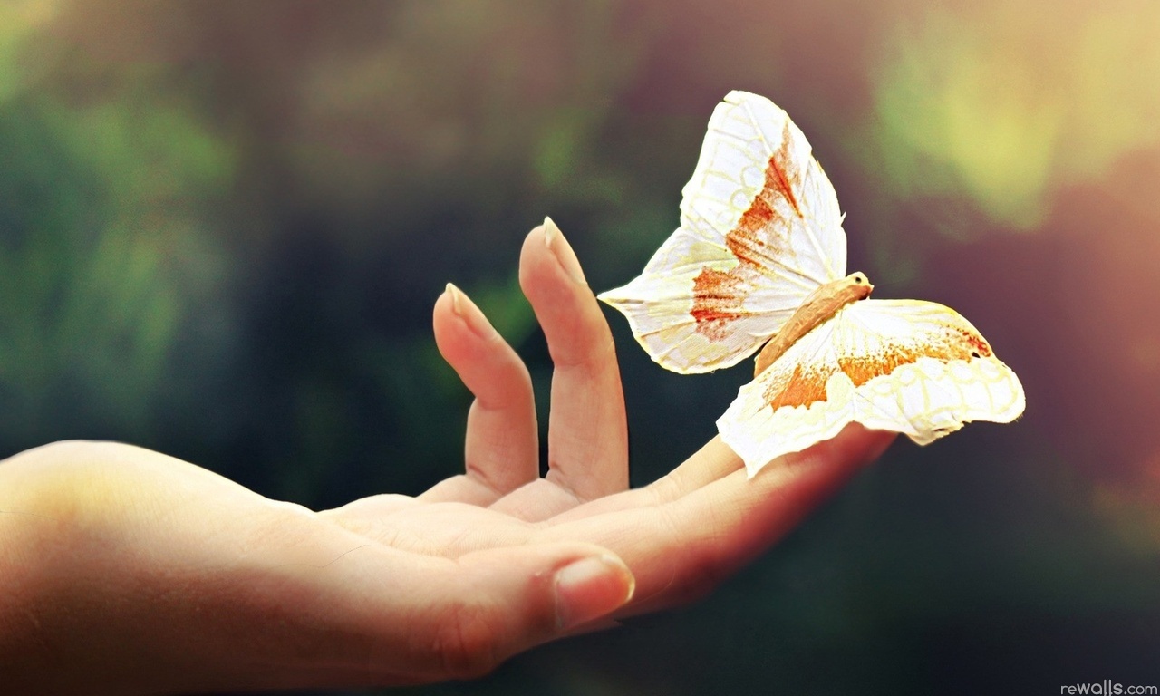 твоё счастье тебя найдёт