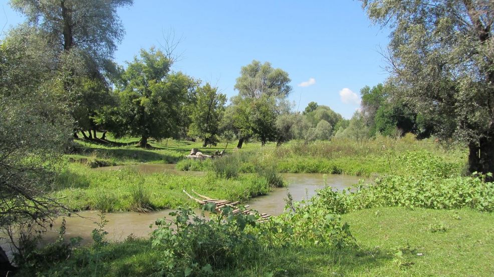 Теплое слово-Родина