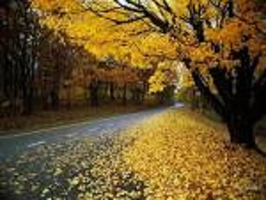 Жить мне как теперь?