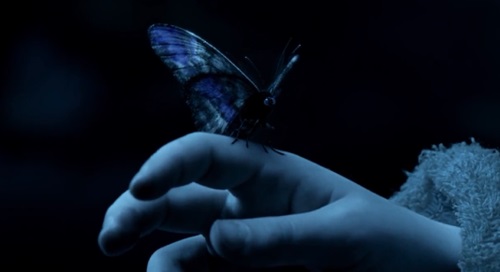 Последняя надежда