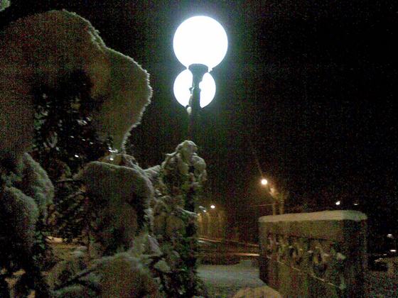 Любимым насекомым...