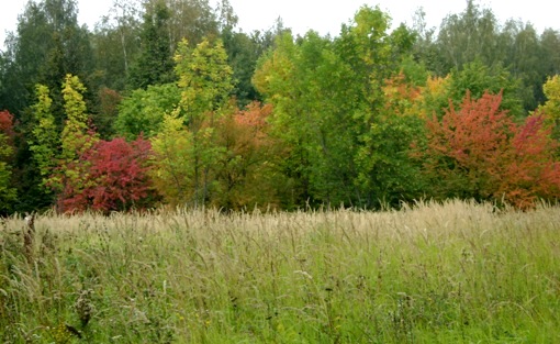 Осенняя песня. Вирелэ