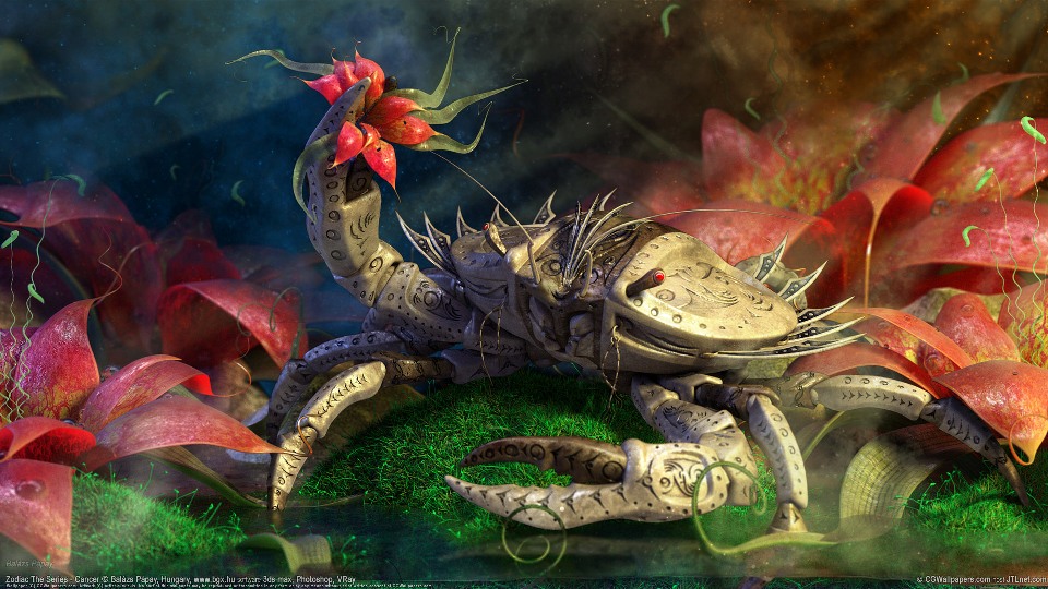 Голосование по 4 заданию для Волшебников