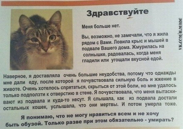 У нас жестокость процветает...